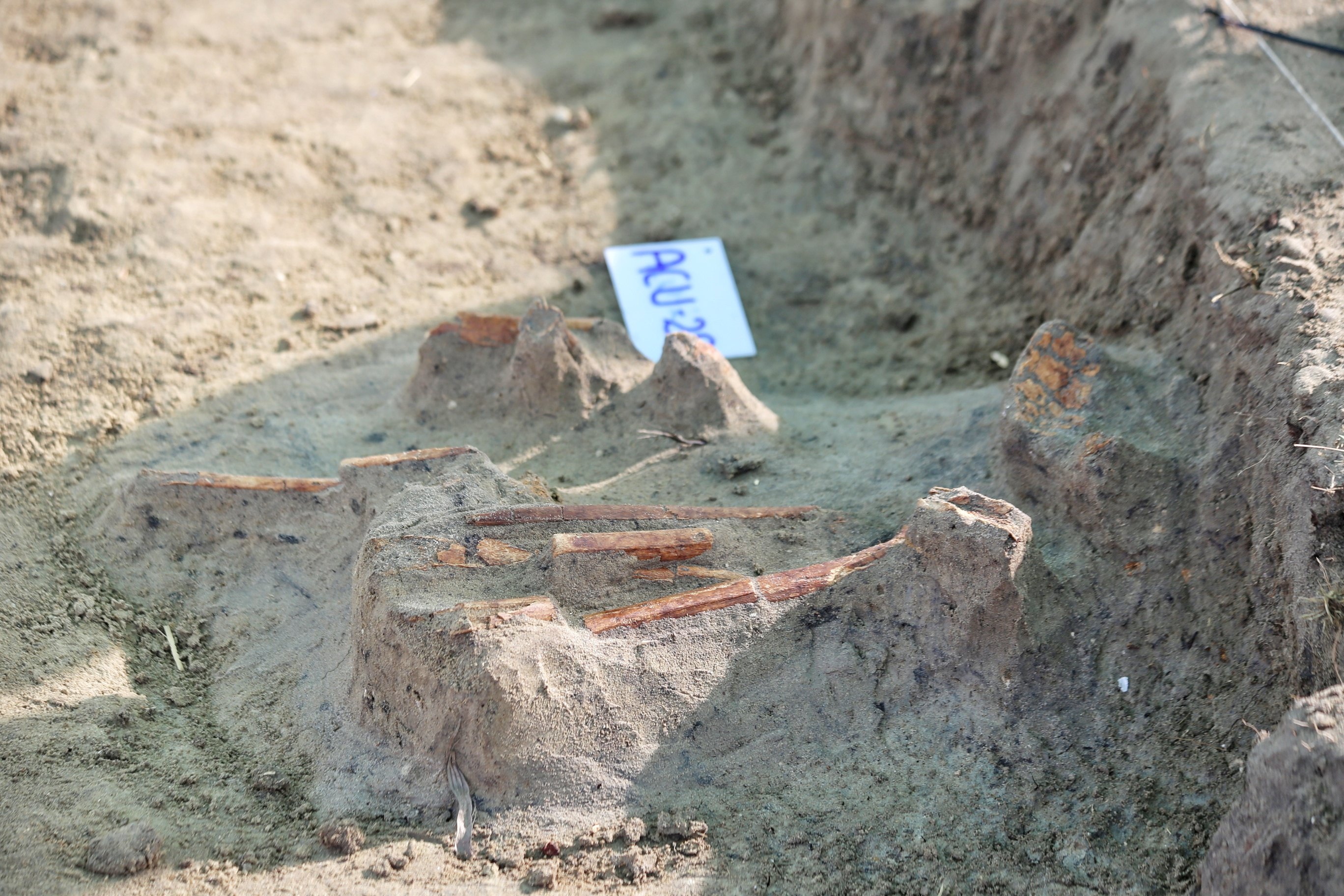 Chemmani toll rises to 420 as more children’s remains unearthed