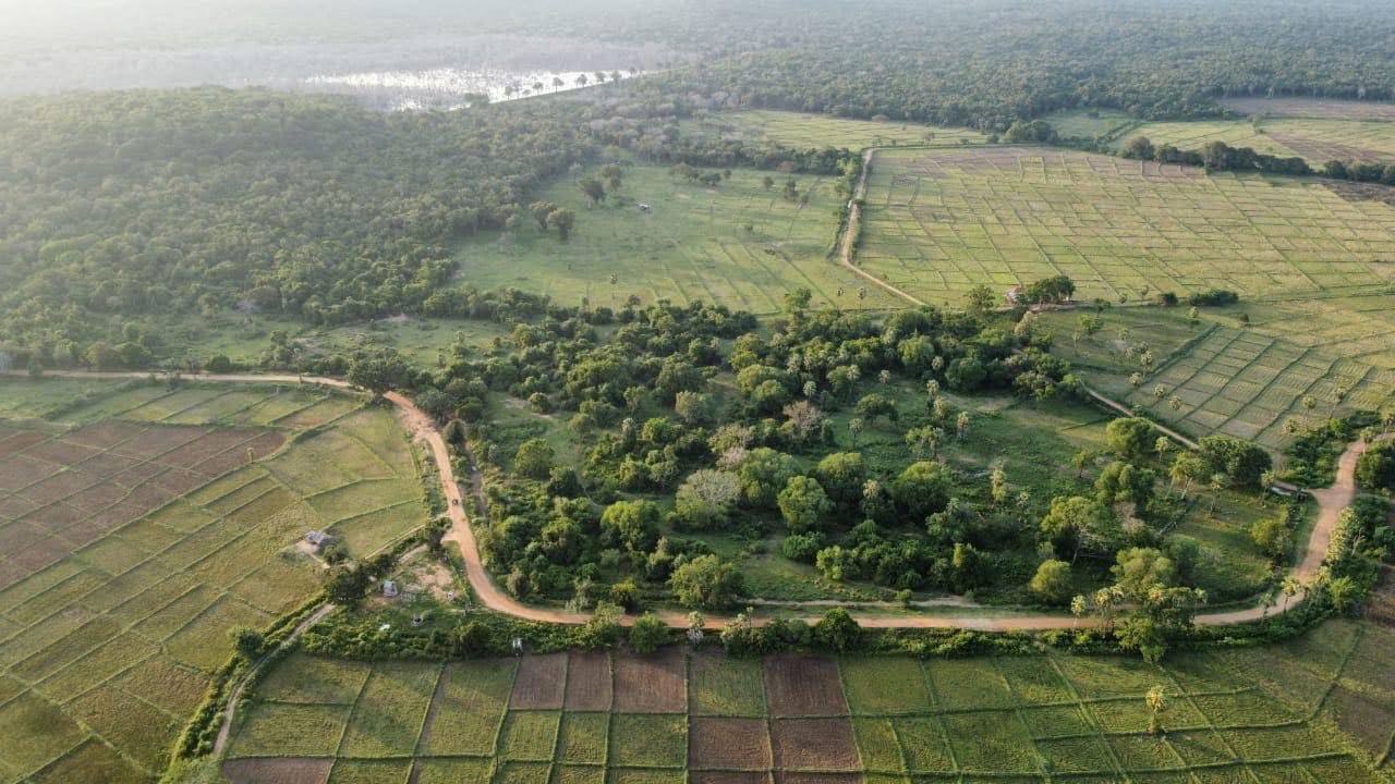 Kurunthurmalai illegally constructed vihara