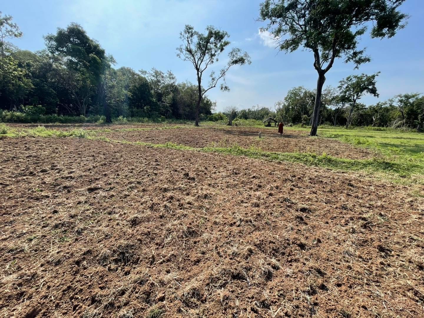 Kurunthurmalai illegally constructed vihara