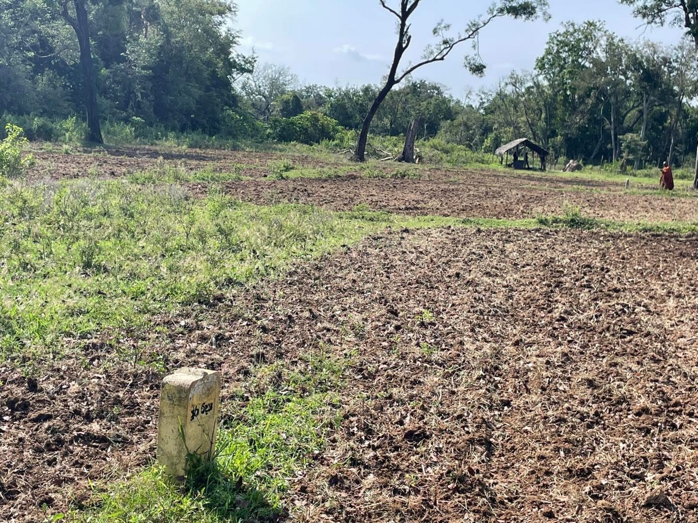 Kurunthurmalai illegally constructed vihara