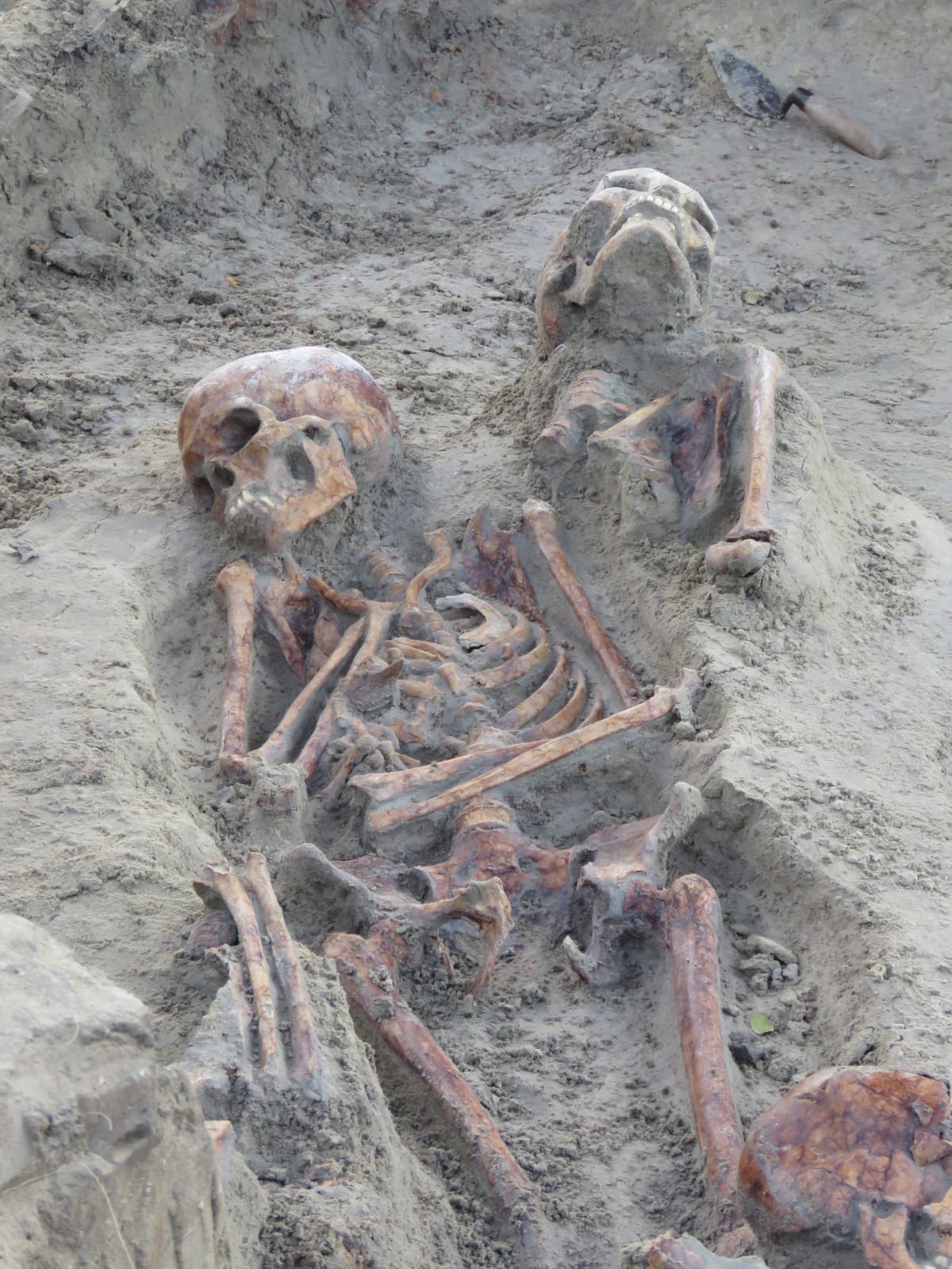 Chemmani grave findings 