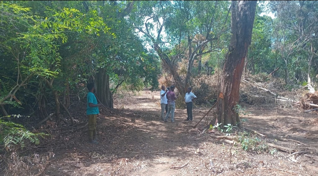Land encroachment 