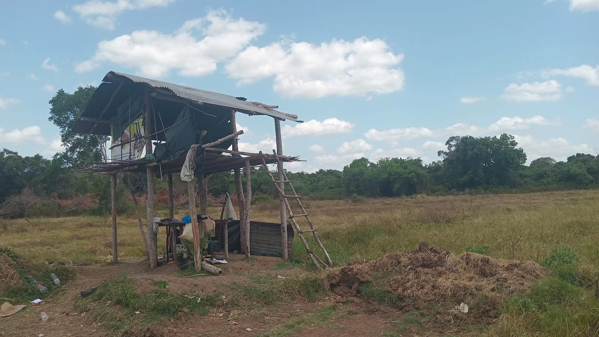Land encroachment 