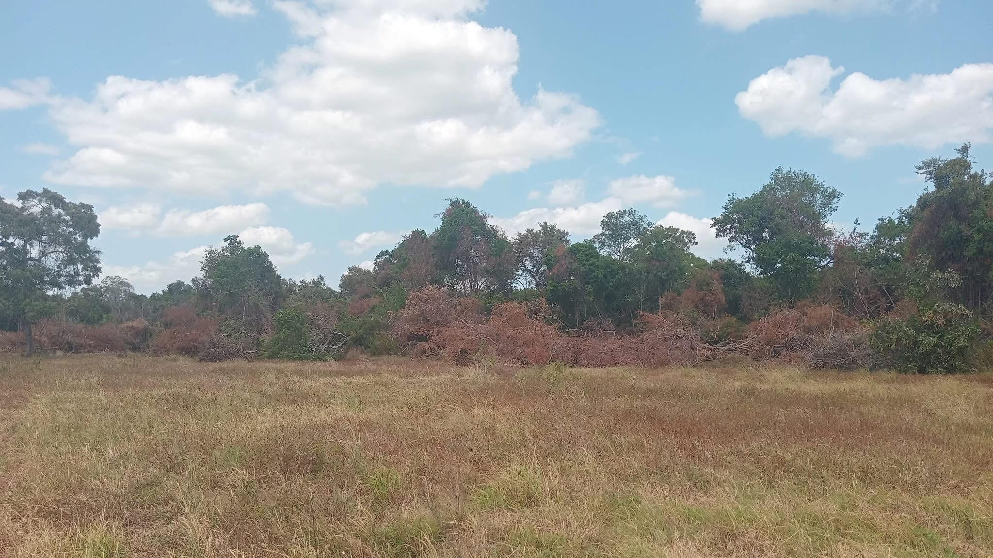 Land encroachment 