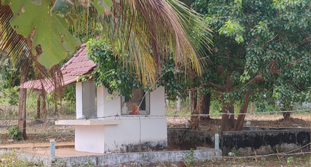 Land encroachment 