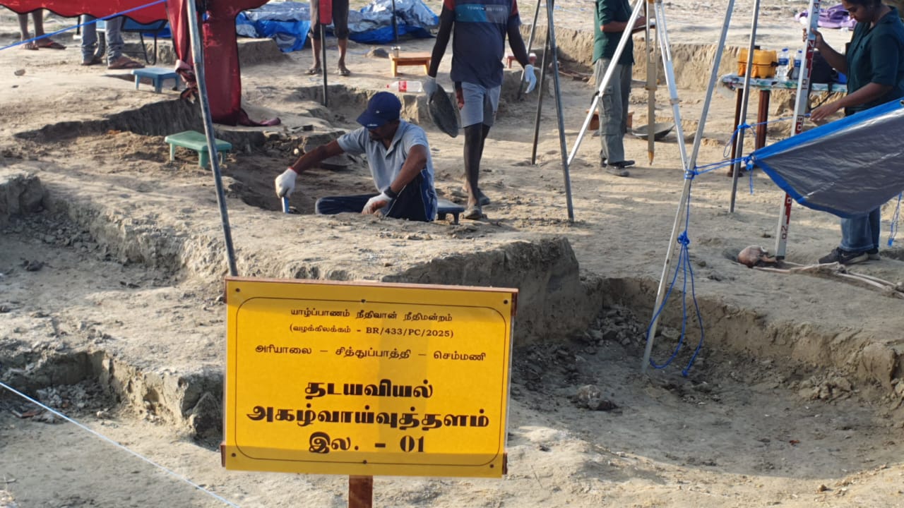 Chemmani grave findings 