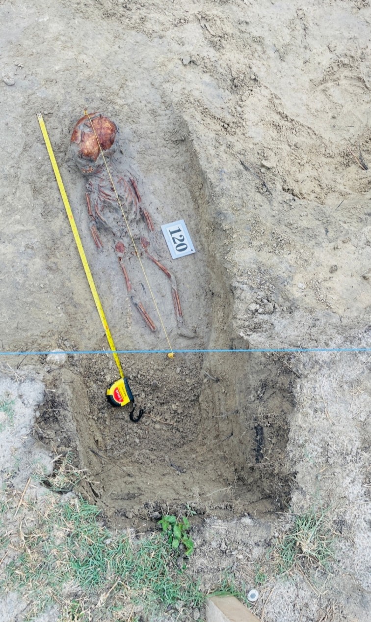 Chemmani grave findings