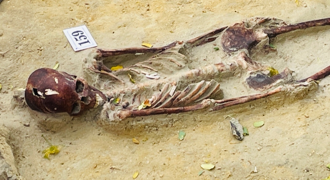 Chemmani grave findings 