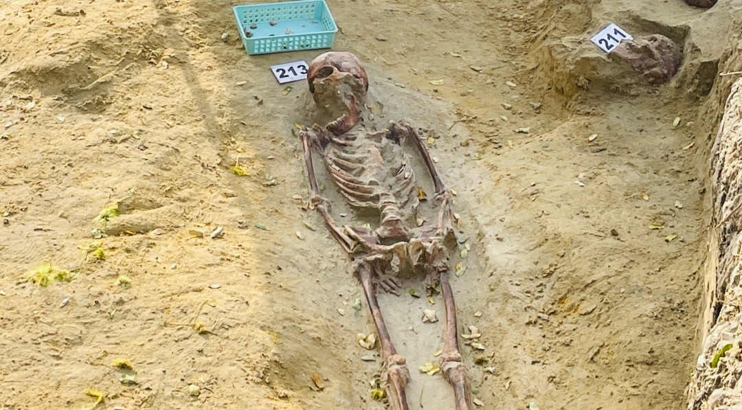 Chemmani grave findings 