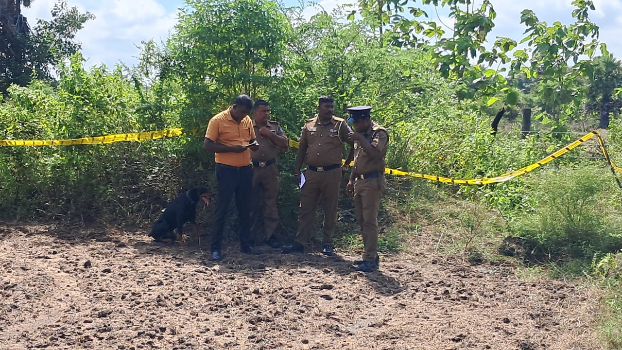 Skeletal remains in mankulam