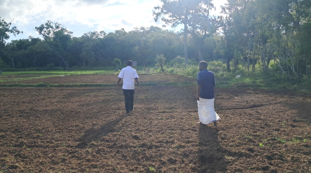 Land encroachment