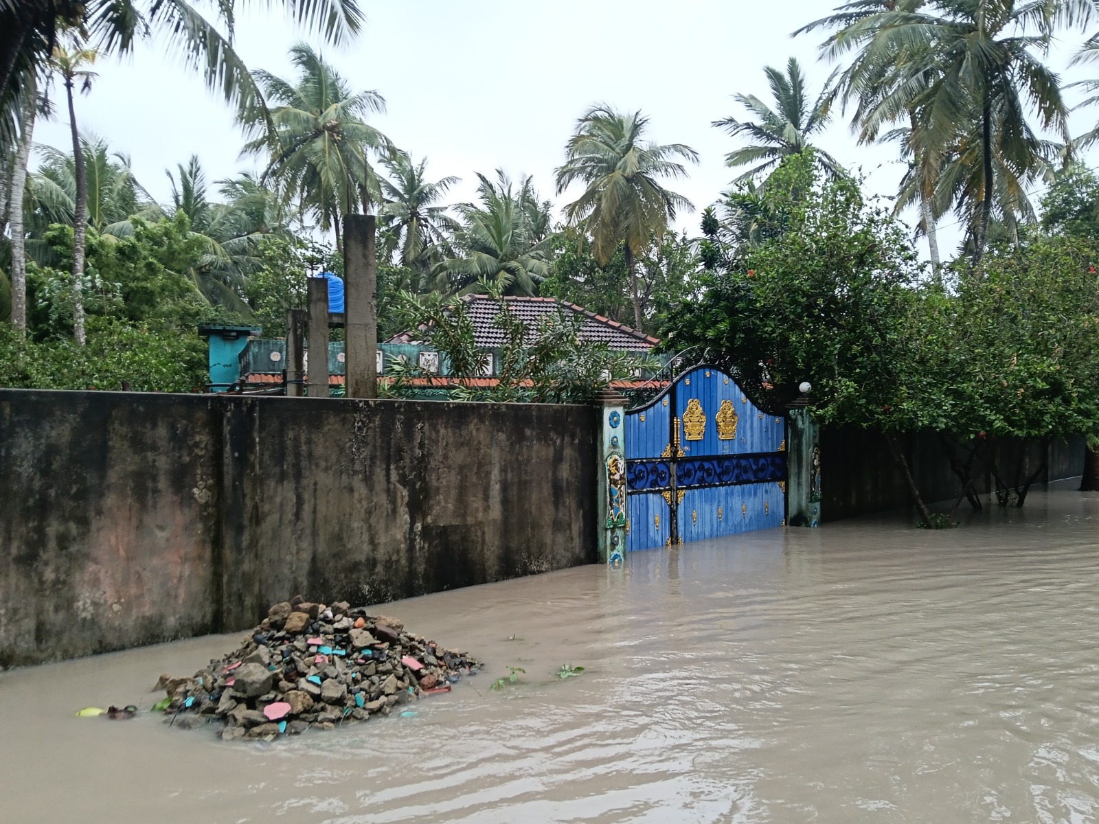 Mannar flood 