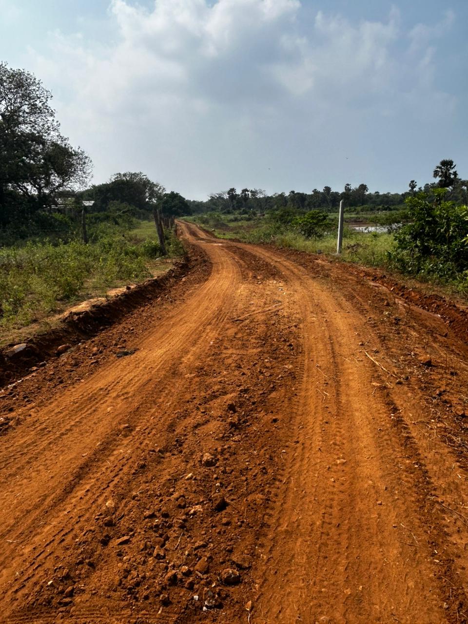 Road occupied 