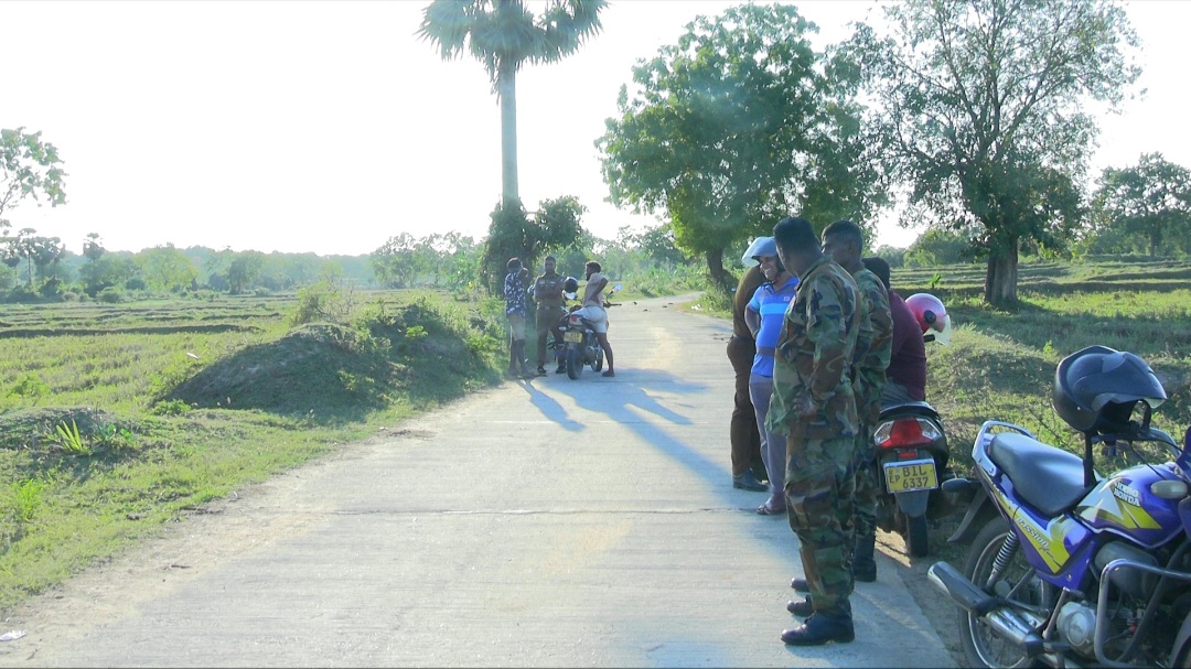Kokkaticholai