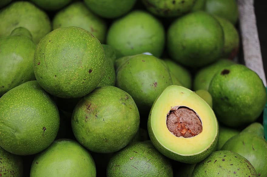 Avocado in tamil